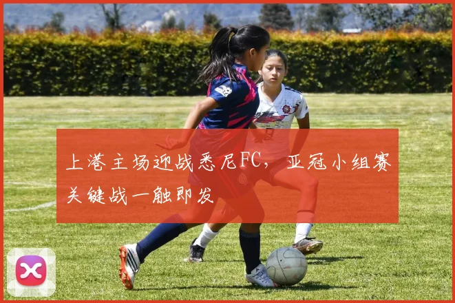 上港主场迎战悉尼FC,亚冠小组赛关键战一触即发