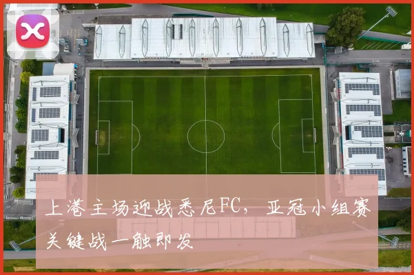 上港主场迎战悉尼FC，亚冠小组赛关键战一触即发